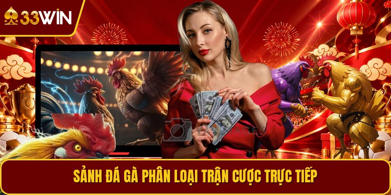 Sảnh đá gà phân loại trận cược trực tiếp